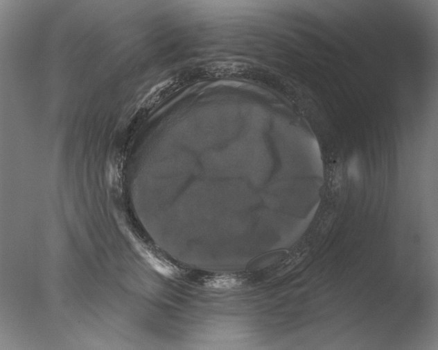 X0000076080759200610202040