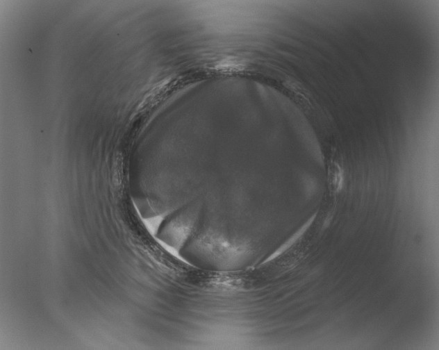 X0000076080760200610202040