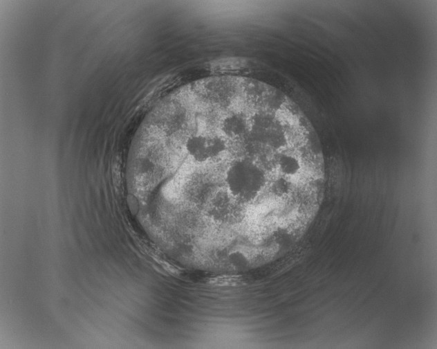 X0000076080761200610202040