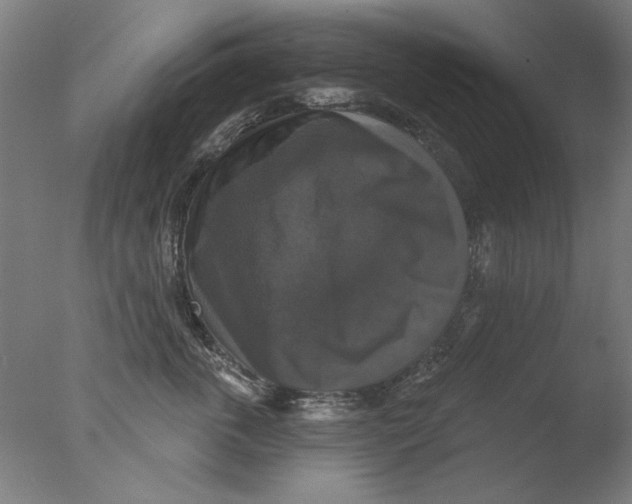 X0000076080763200610202040