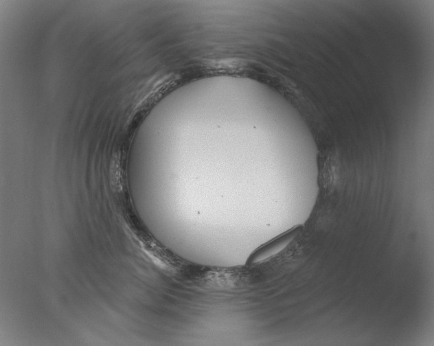 X0000076080764200610202040