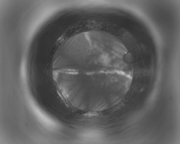 X0000076080765200610202040