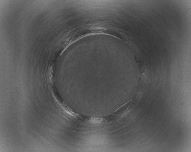 X0000076080767200610202040