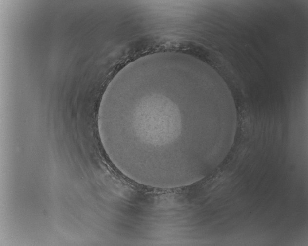 X0000076080769200610202039