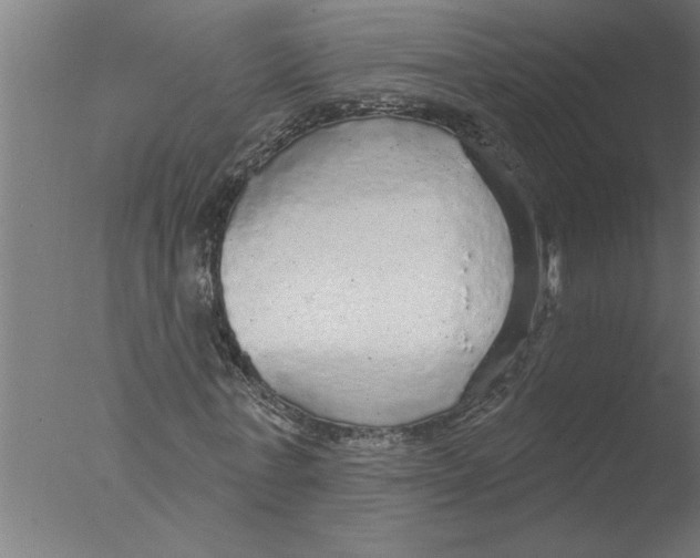 X0000076080771200610202039