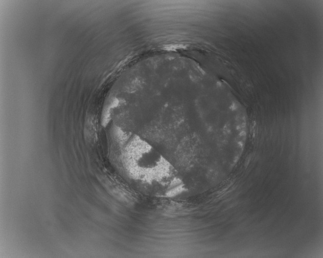 X0000076080772200610202039