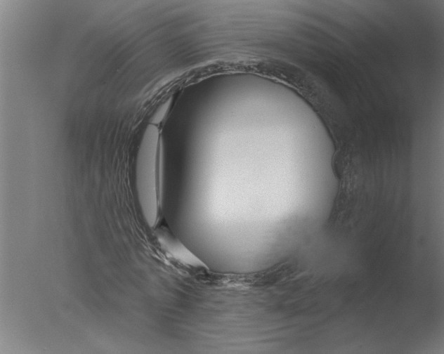 X0000076080773200610202039