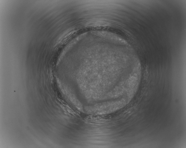 X0000076080774200610202039