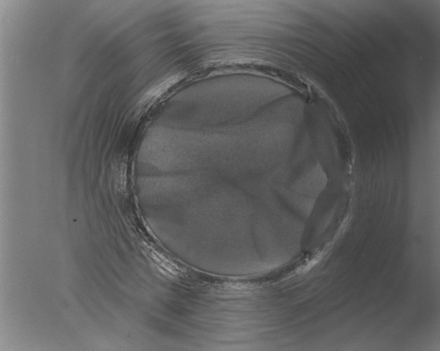 X0000076080777200610202039