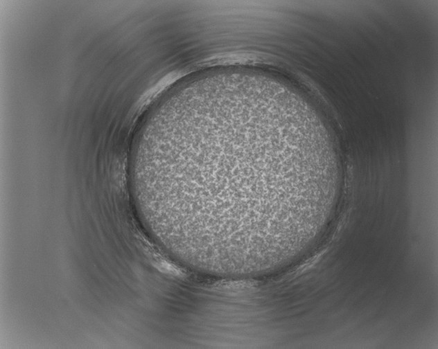 X0000076080778200610202039