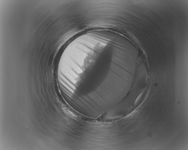 X0000076080779200610202039