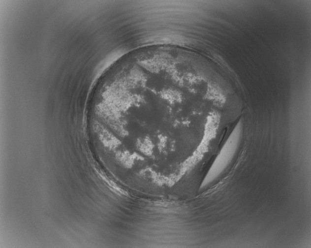 X0000076080780200610202039