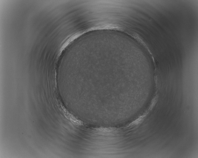 X0000076080781200610202039