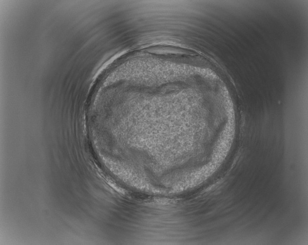 X0000076080782200610202039