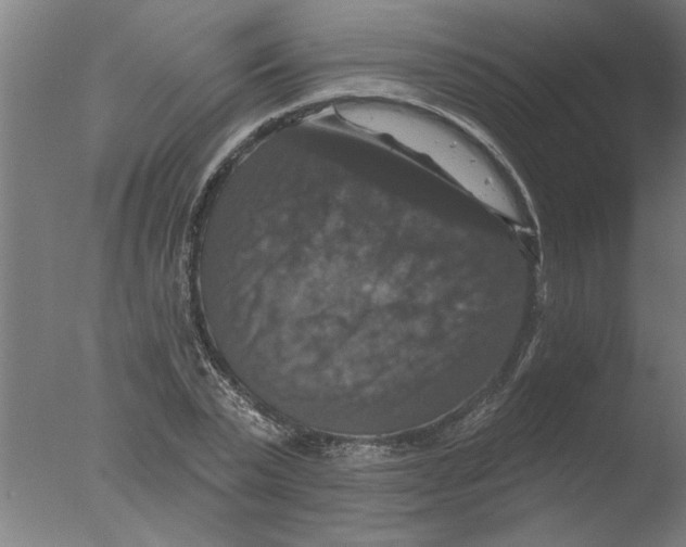 X0000076080783200610202039