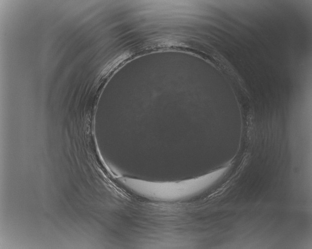 X0000076080785200610202039