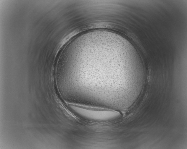 X0000076080786200610202039