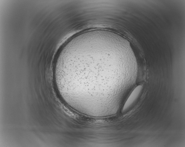 X0000076080787200610202039