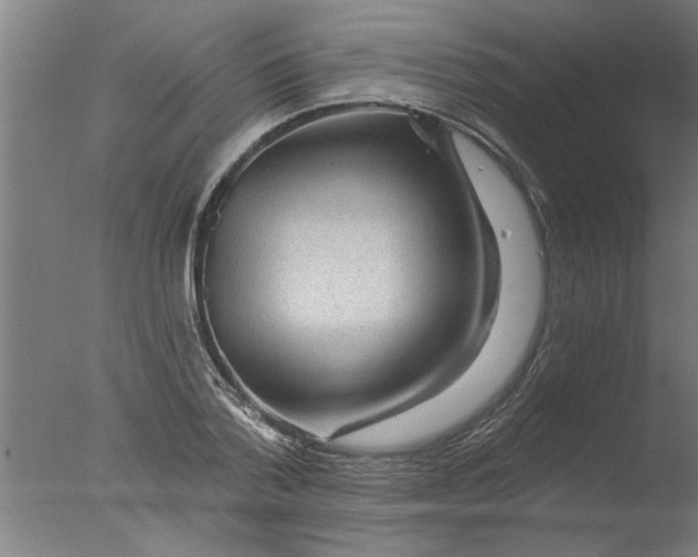 X0000076080788200610202039