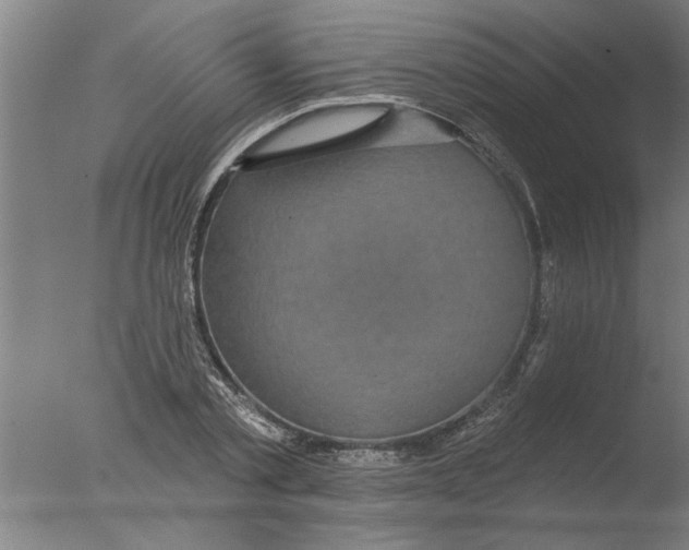 X0000076080789200610202039