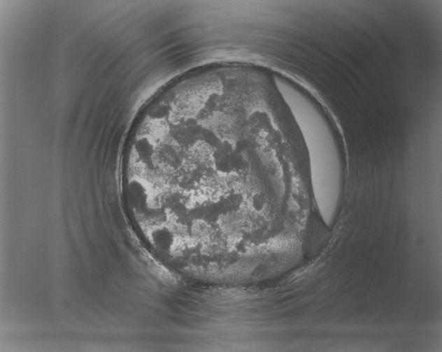 X0000076080791200610202039