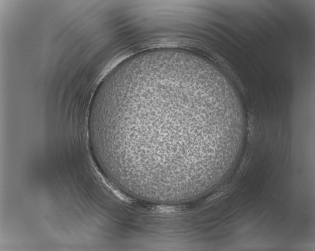 X0000076080794200610202039