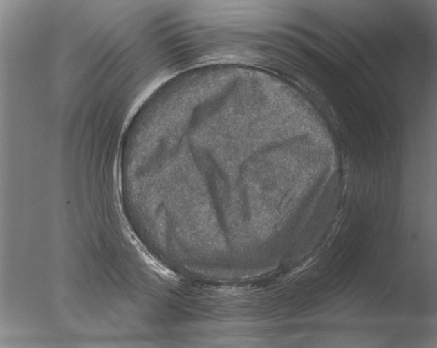 X0000076080796200610202039