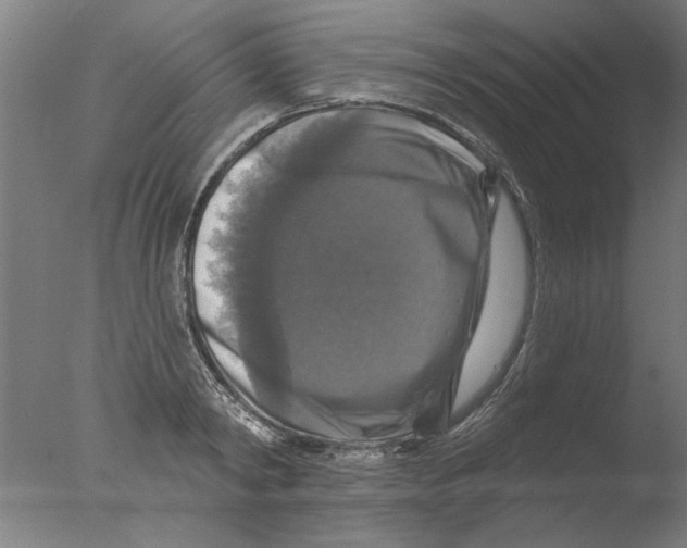 X0000076080798200610202039