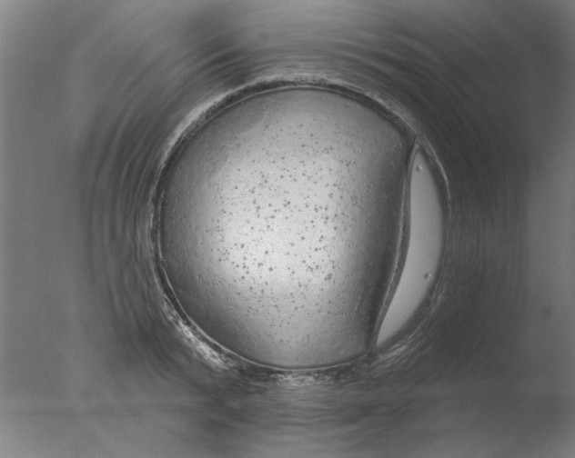 X0000076080799200610202039