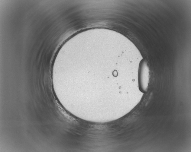 X0000076080800200610202039