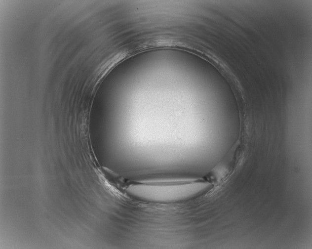 X0000076080801200610202039