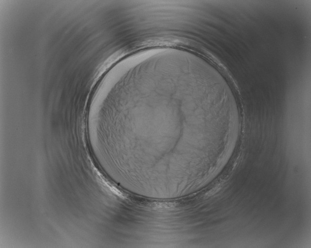 X0000076080802200610202039