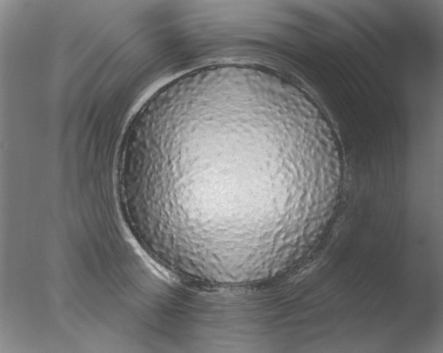 X0000076080803200610202039