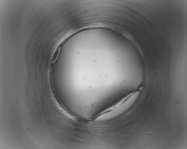 X0000076080805200610202039