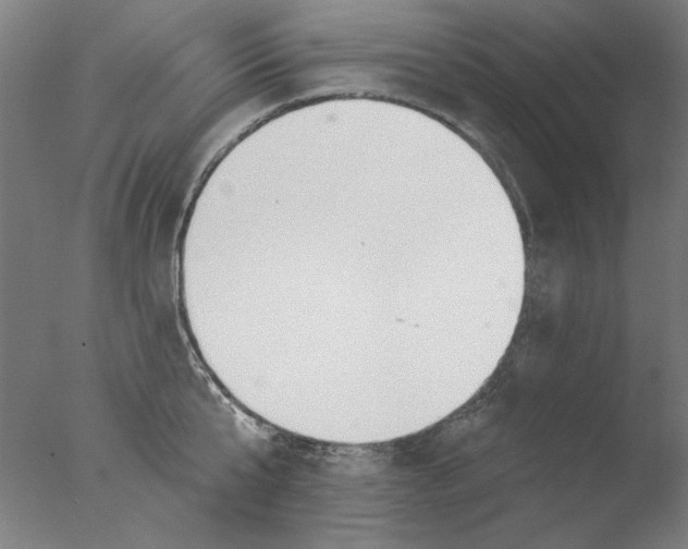 X0000076080807200610202039