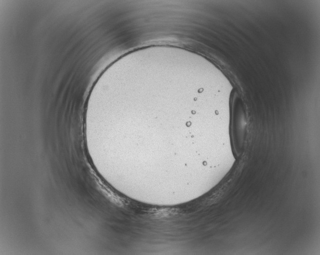 X0000076080808200610202039