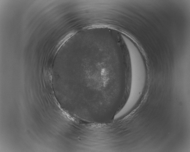 X0000076080809200610202039