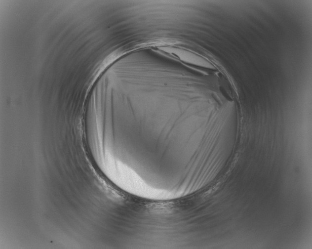 X0000076080810200610202038