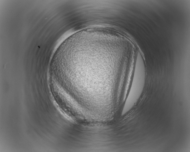 X0000076080811200610202038