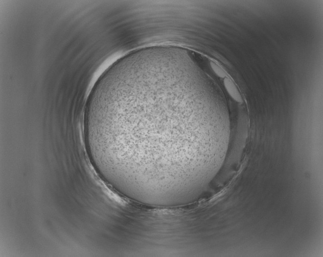 X0000076080812200610202038