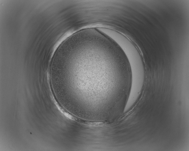 X0000076080813200610202038