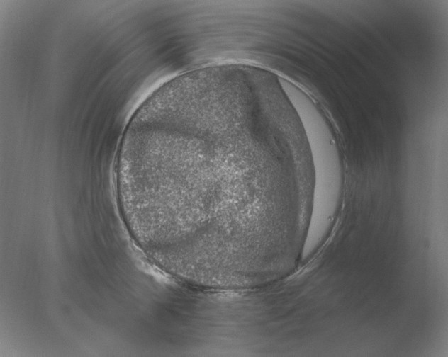 X0000076080814200610202038