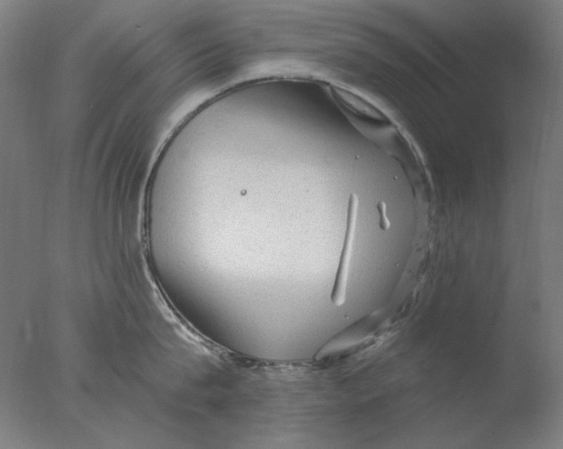 X0000076080815200610202038