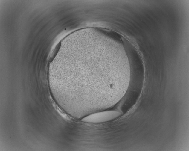 X0000076080816200610202038