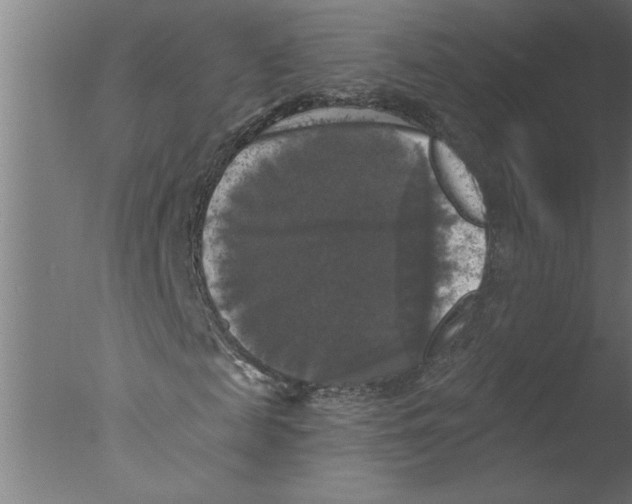 X0000076080817200610202038