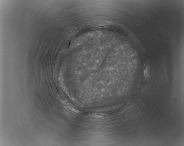 X0000076080819200610202038