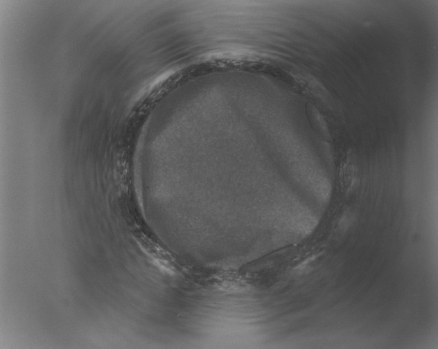 X0000076080822200610202038