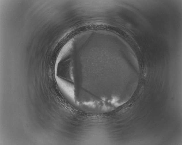 X0000076080823200610202038