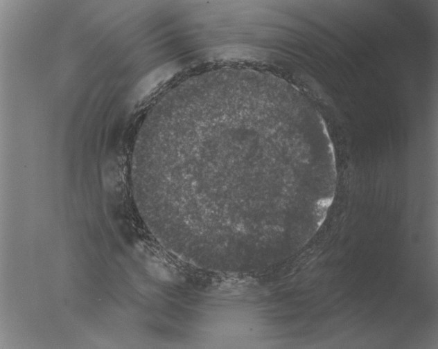 X0000076080824200610202038