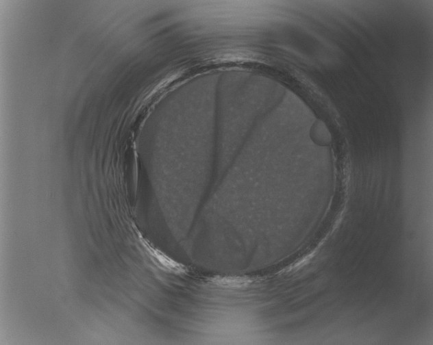 X0000076080825200610202038